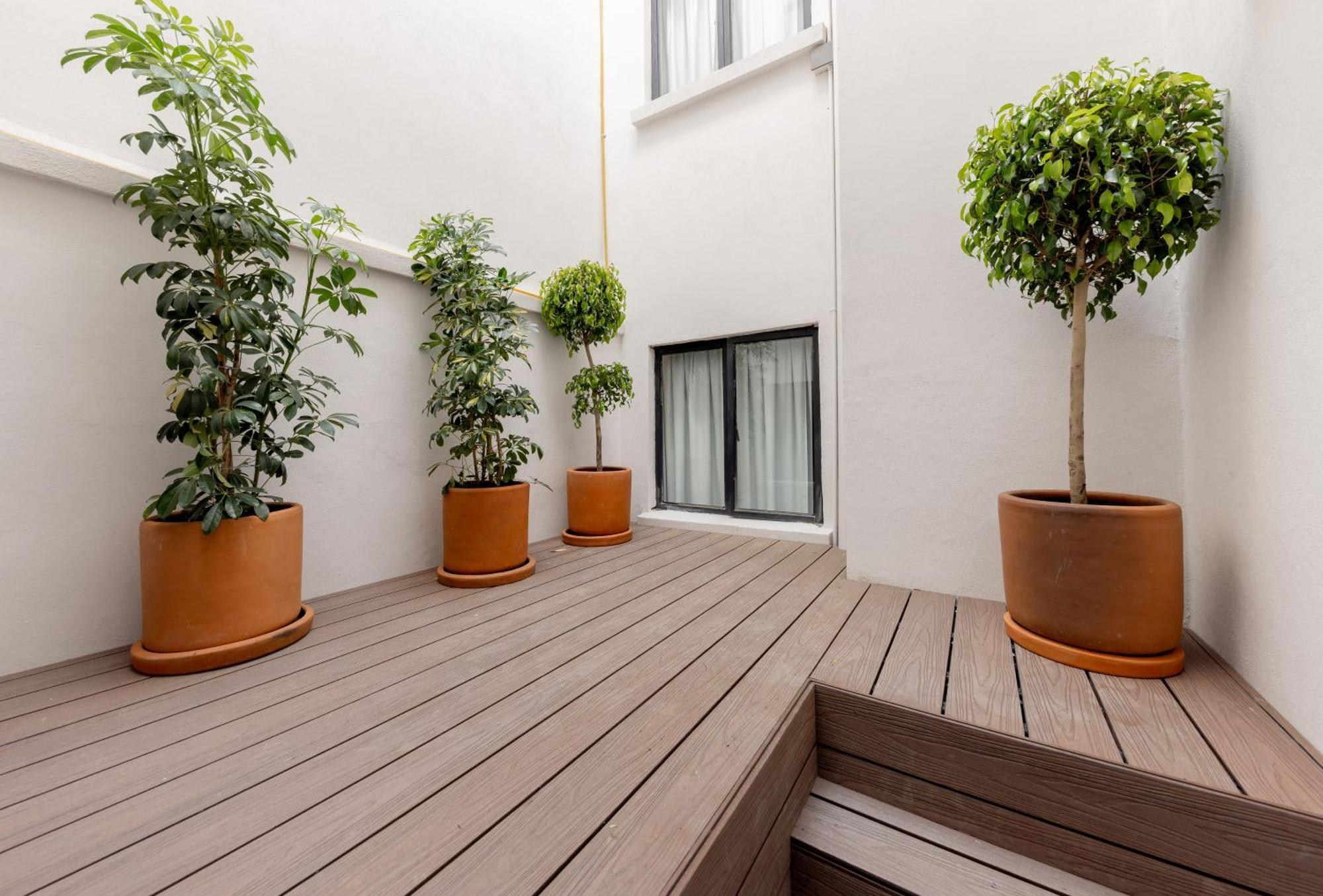 Baranda Ocho Apartment Mexico City Exterior photo